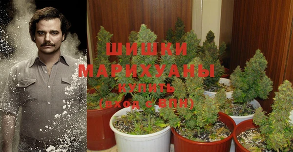 spice Покачи