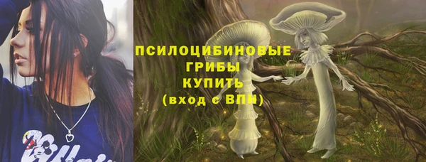 spice Покачи