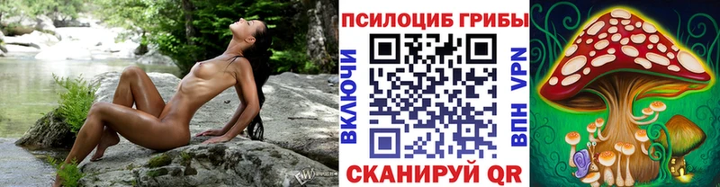 Галлюциногенные грибы GOLDEN TEACHER Ряжск